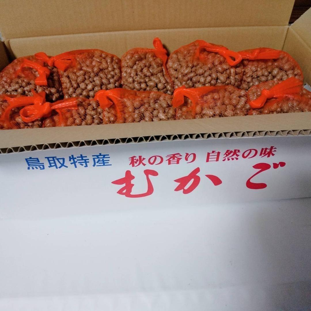 【鳥取県産】むかご 1~2cm程度 500g ムカゴ クリックポスト とりたて とっくり芋 長芋 粘りっこ ねばりっこ 天ぷら 串揚げ