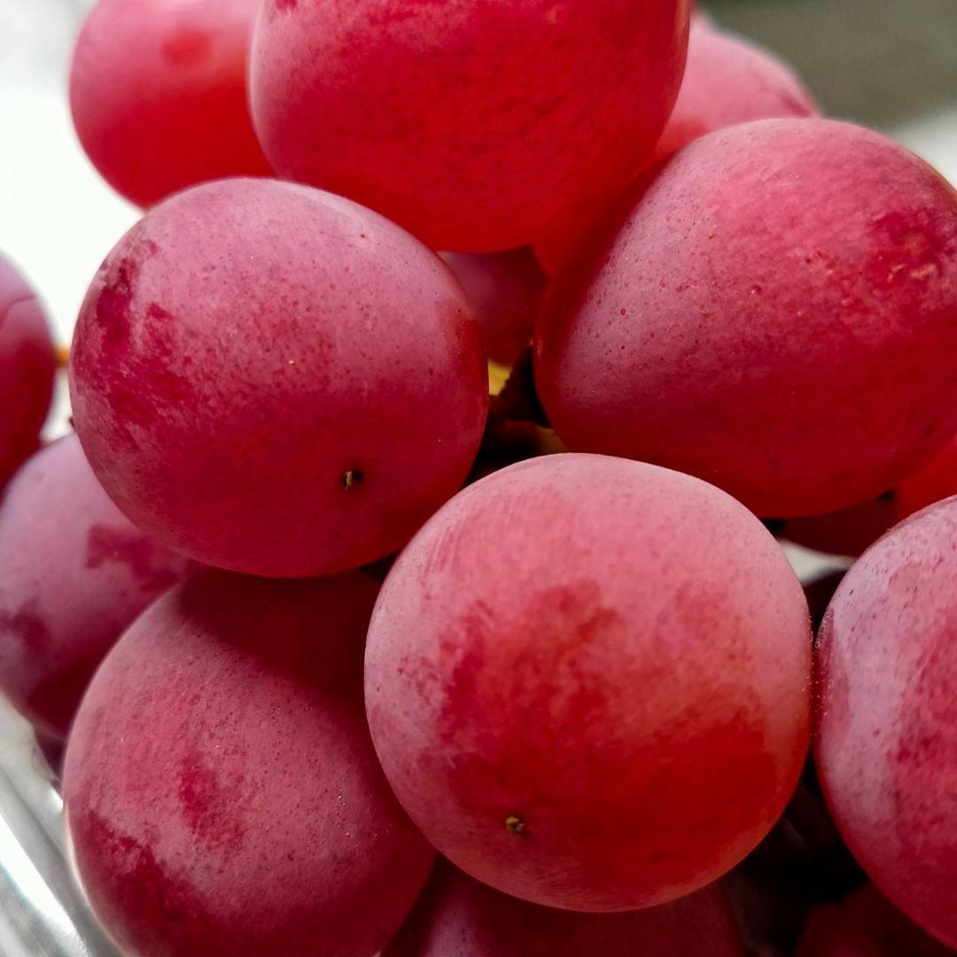 【常温発送】クインニーナ　糖度20度　2kg　4房　ぶどう　葡萄　ブドウ　常温