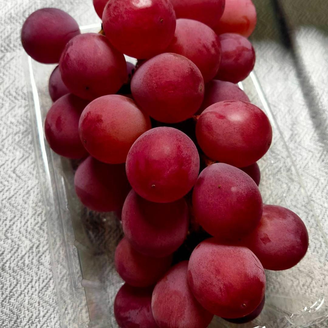 【常温発送】クインニーナ　糖度20度　2kg　4房　ぶどう　葡萄　ブドウ　常温