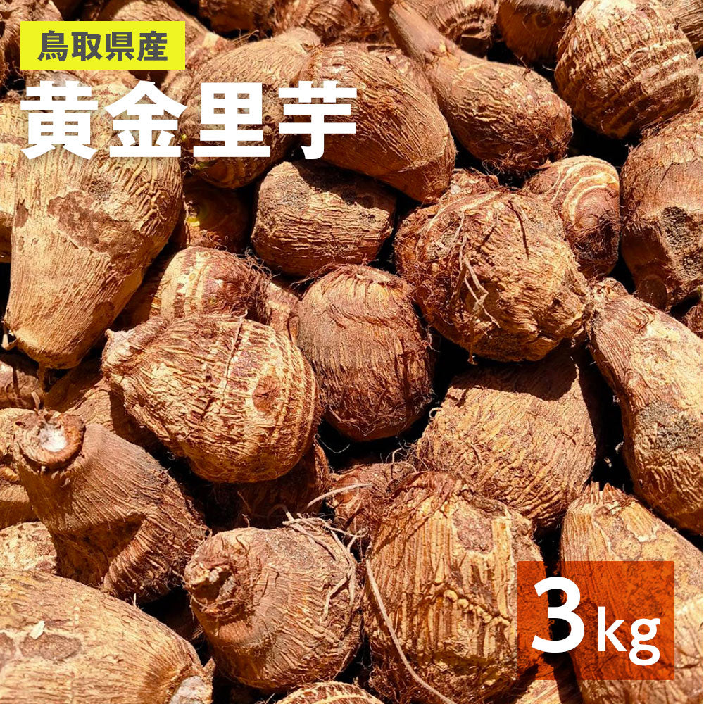 【鳥取県産】里芋 大和芋  根菜　長芋　サトイモ　さといも　1〜1.5kg　3kg　5kg 　10kg　山芋　ねばりこ　甘い　柔らかい
